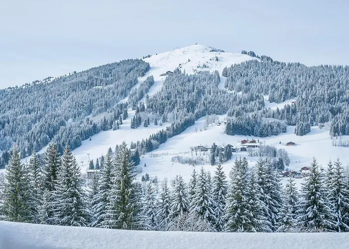 Le Lapye Domek alpejski